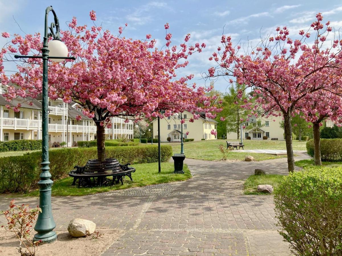 Duenenpark Binz - Wg 40 "Treibgut" Apartment Екстериор снимка